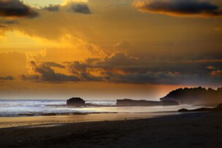 Beach or Ocean View