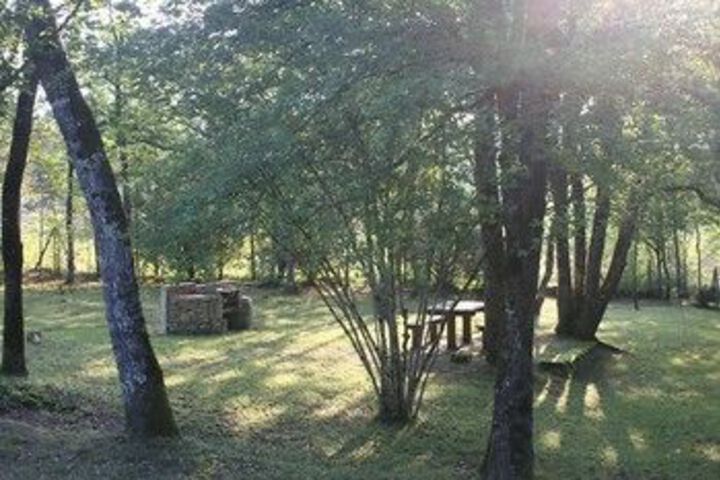Property Grounds 11 of 62