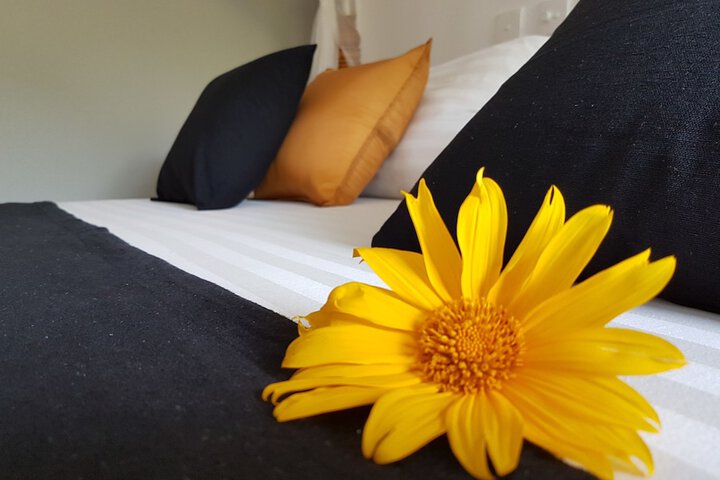 Room 13 of 44