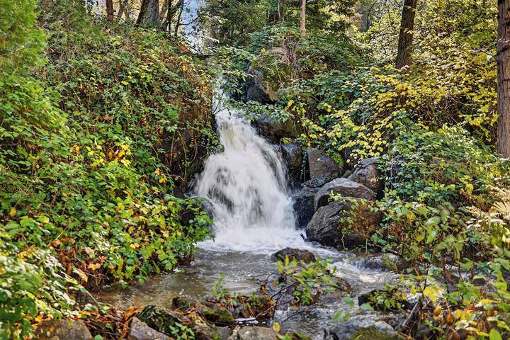 Wedding/Banquet 69 of 82