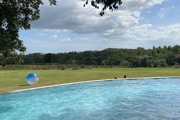 Pool 11 of 41