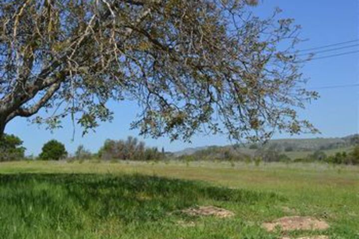 Property Grounds 23 of 27
