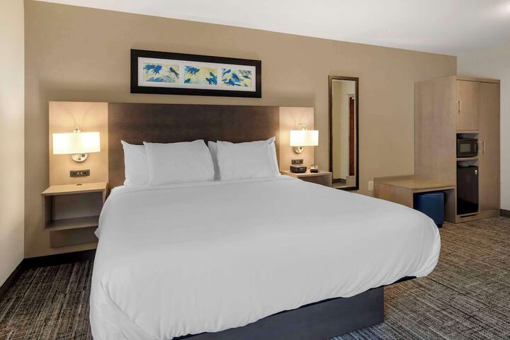 1 King Bed (4 of 6)