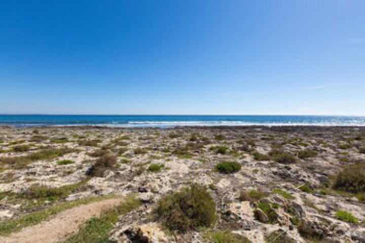 Beach 20 of 113