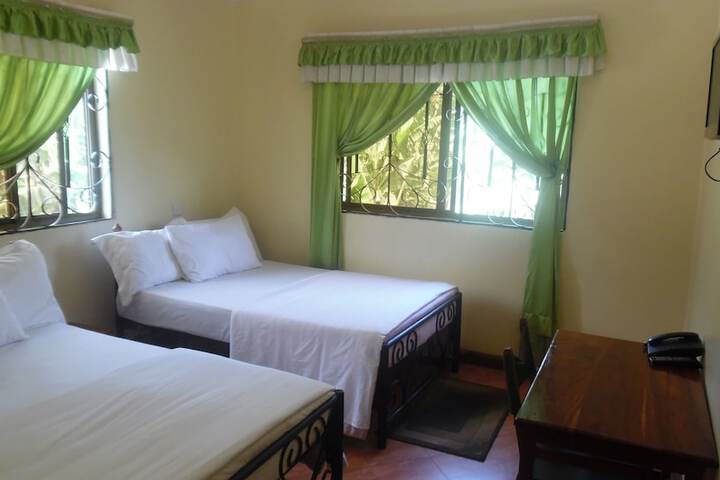 View from room