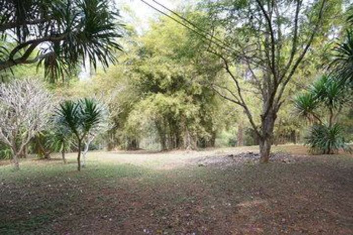 Property Grounds 31 of 38