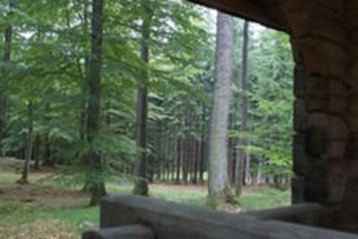 Property Grounds 98 of 122