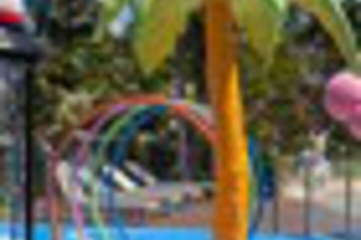 Pool 239 of 300