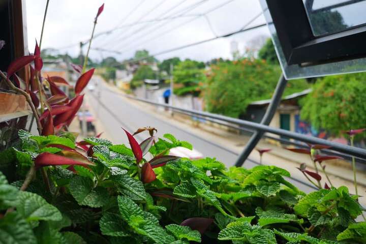Paraiso Wasi