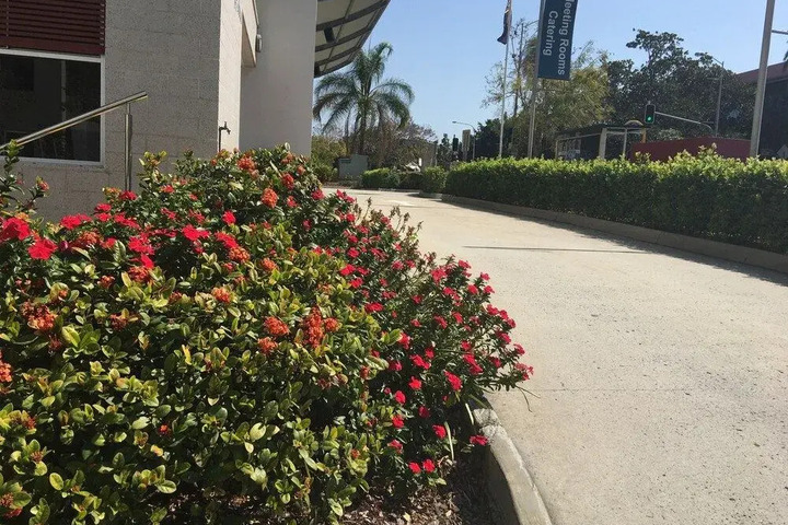 Photo 19