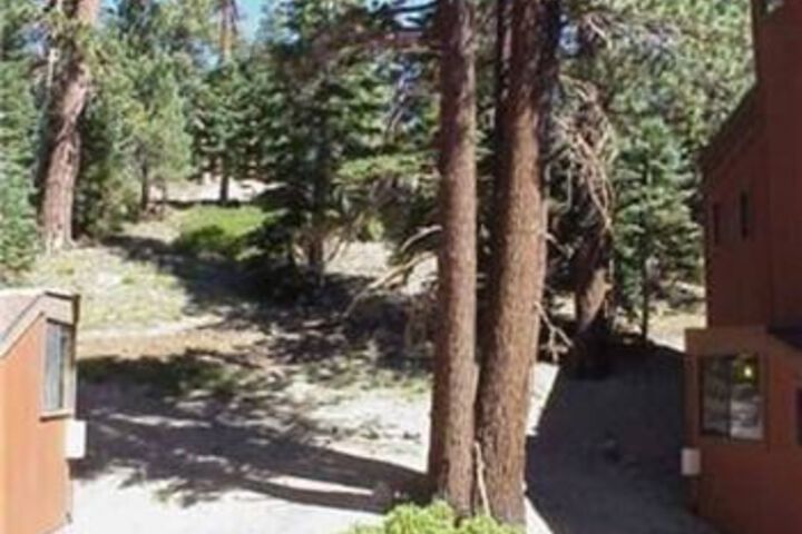 Property Grounds 8 of 8