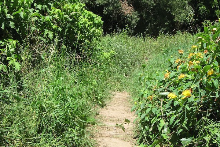 Property Grounds 310 of 329