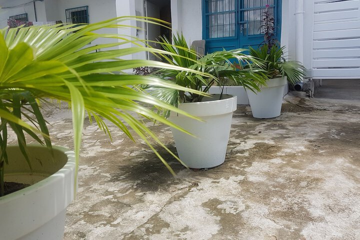 Hotel Exterior 33 of 36