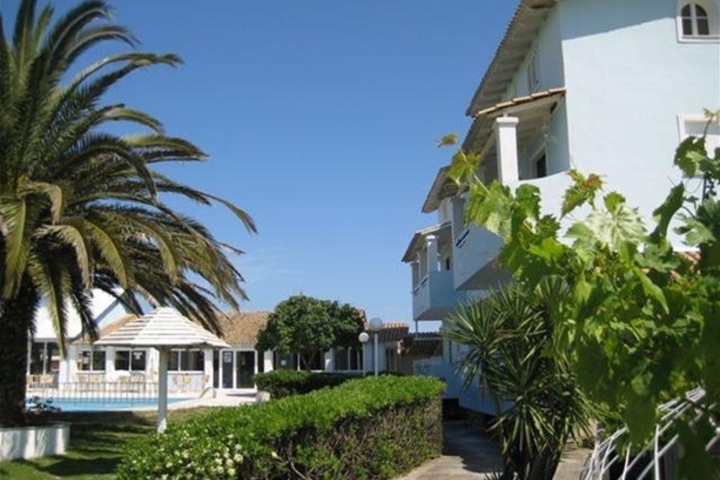 PALM GROVE