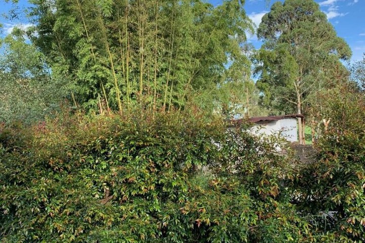 Property Grounds 49 of 72