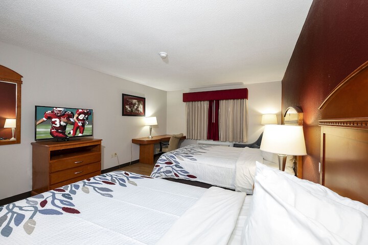 Deluxe Quadruple 2 Queen Beds (9 of 9)