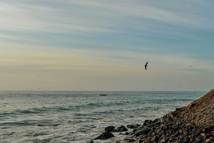 Beach 81 of 100