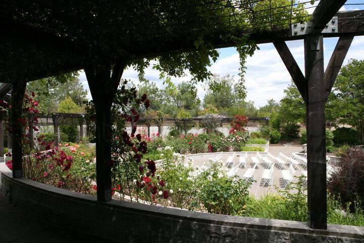 Photo 34