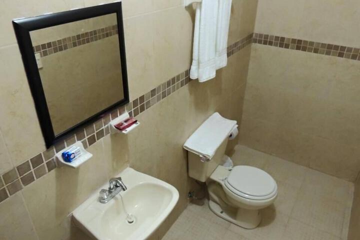 Image of Hotel Palmas D Victoria