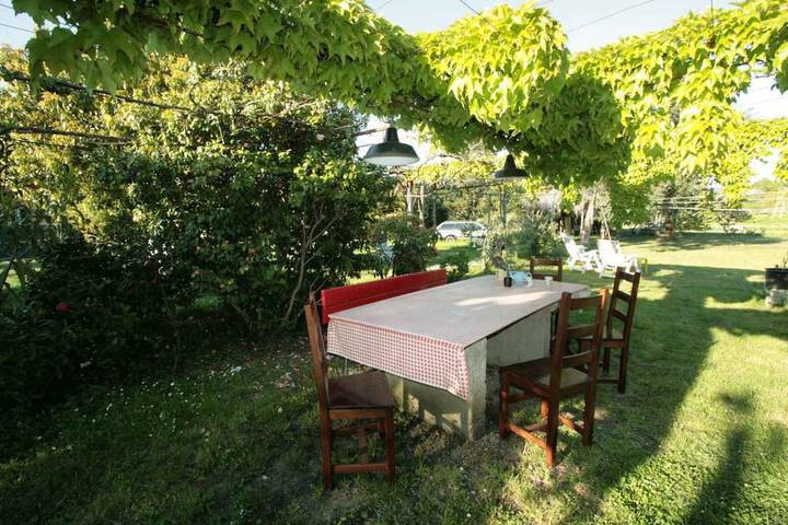Dining Photos