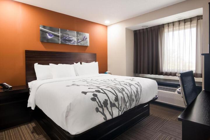 1 King Bed (4 of 5)