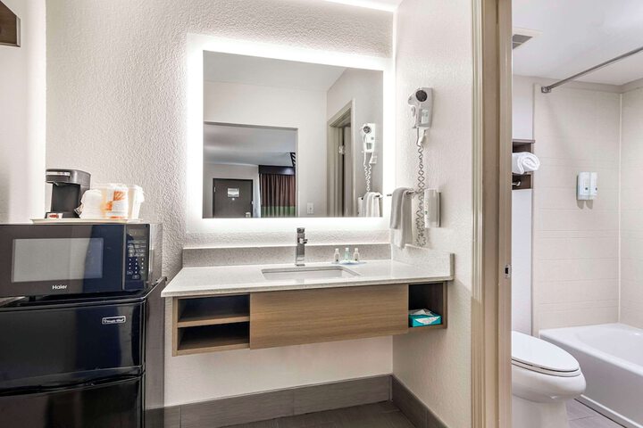 1 King Bed Accessible (7 of 11)