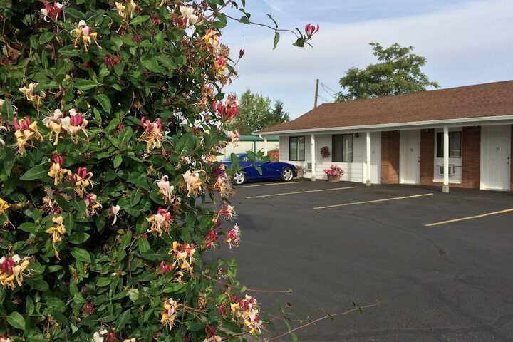 Property Grounds 36 of 50