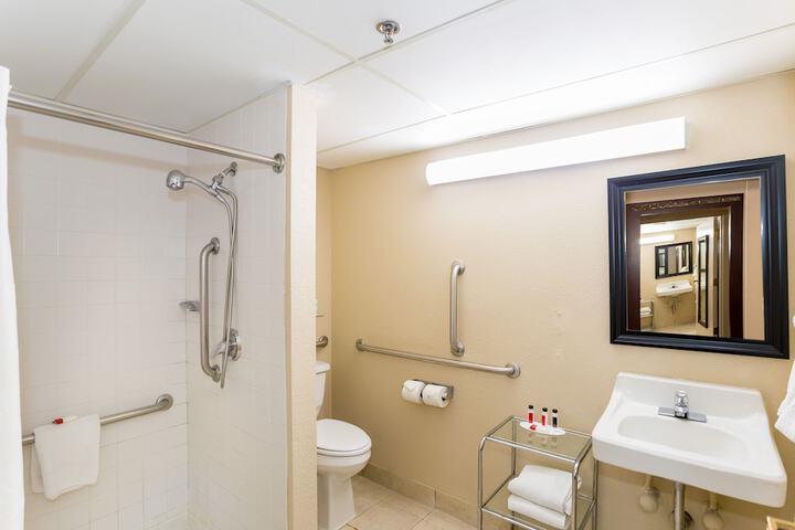 1 Queen Bed Mobility Accessible Roll in Shower (5 of 8)