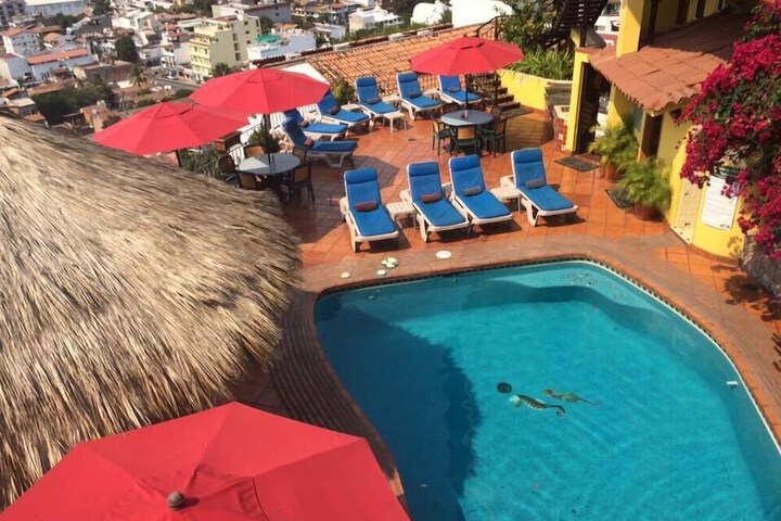 Pool 44 of 71