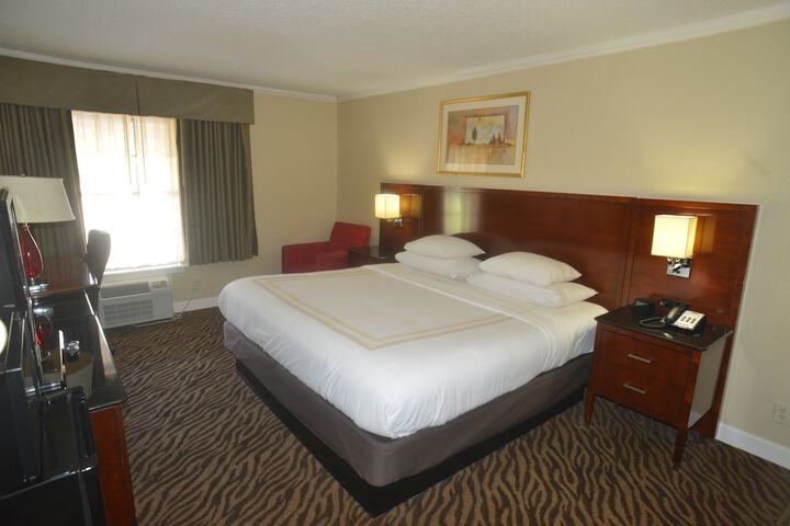 Standard Single Room 1 King Bed (15 of 17)