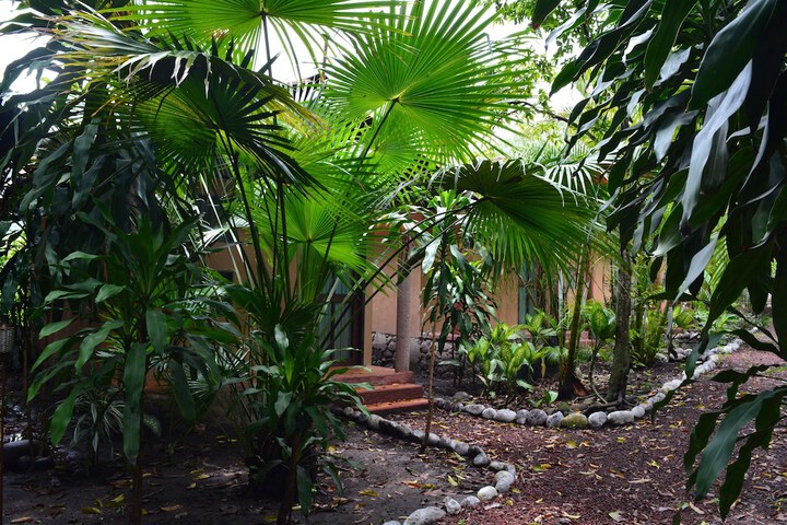 Terrace/Patio 32 of 35