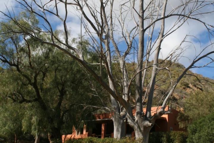 Property Grounds 27 of 33