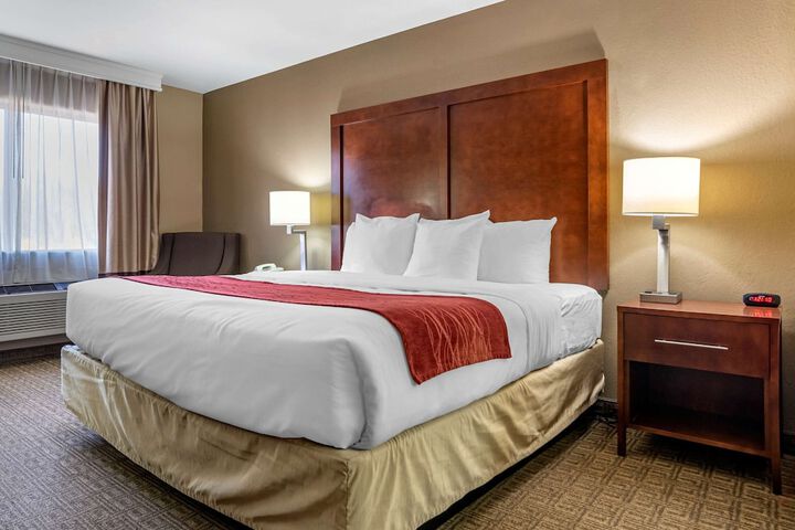 1 King Bed Accessible (8 of 11)