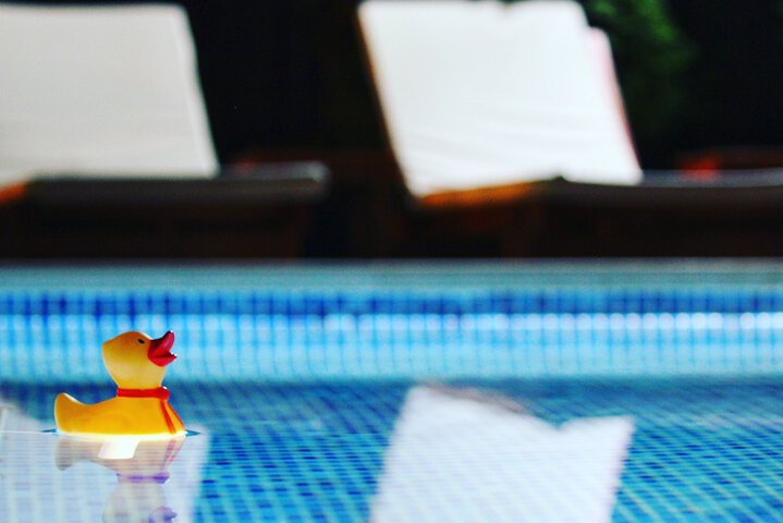 Pool 47 of 63