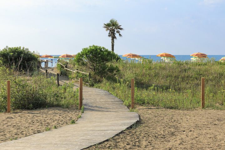 Beach 121 of 141