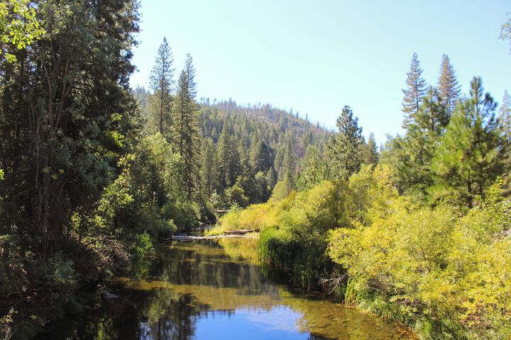 Property Grounds 55 of 62