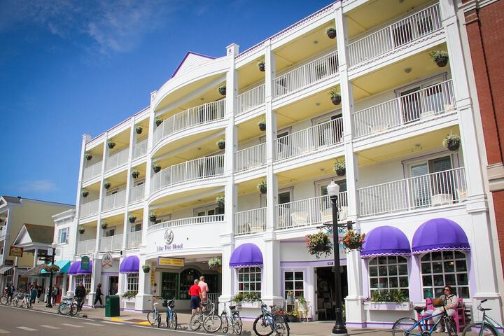 Lilac Tree Suites