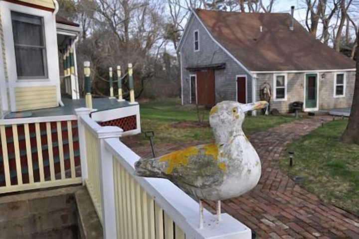 Property Grounds 19 of 26