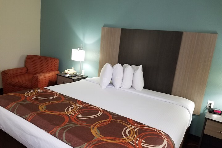 1 King Bed (3 of 45)