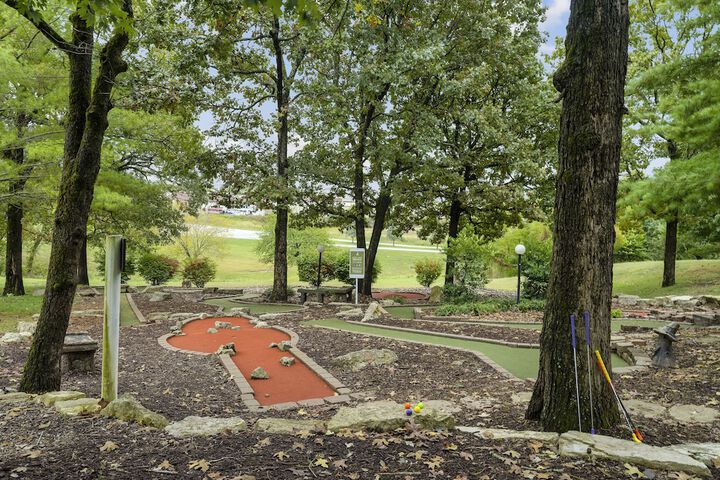 Mini-golf