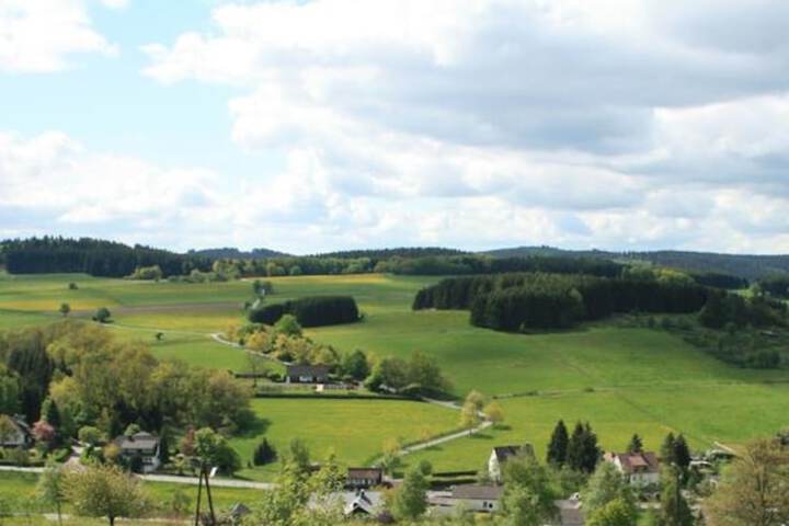 View from room