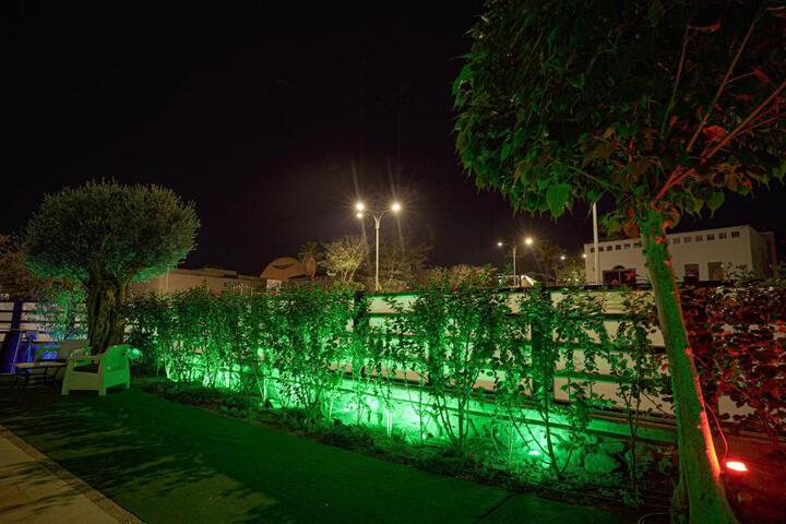 Photo 11