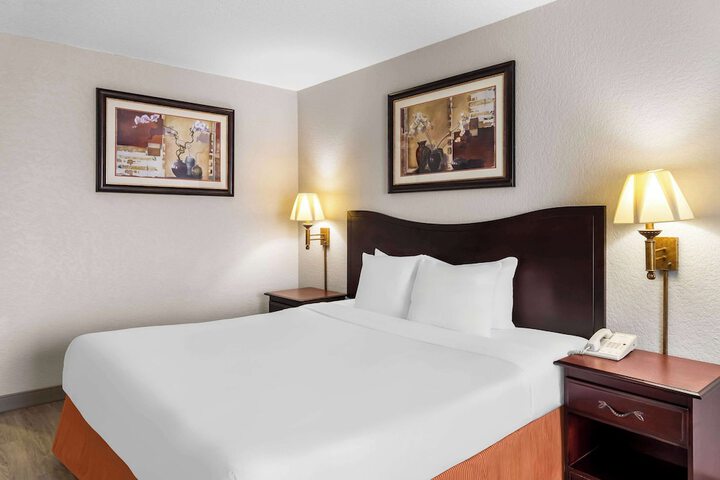 1 King Bed (17 of 32)