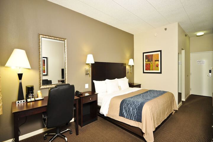 1 King Bed (10 of 19)