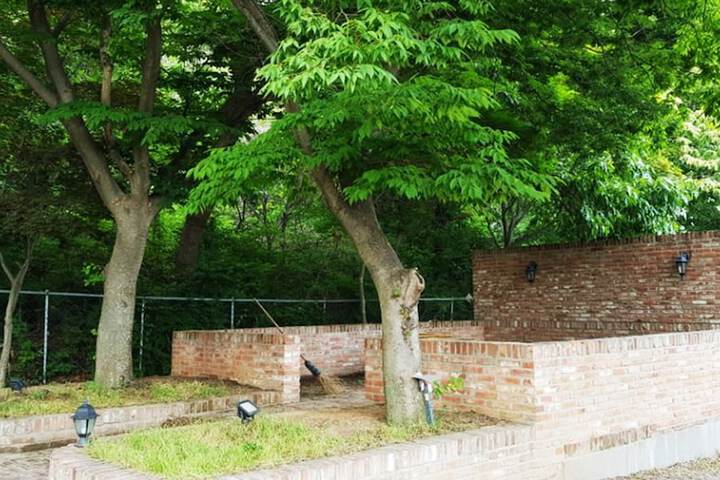 Property Grounds 54 of 62