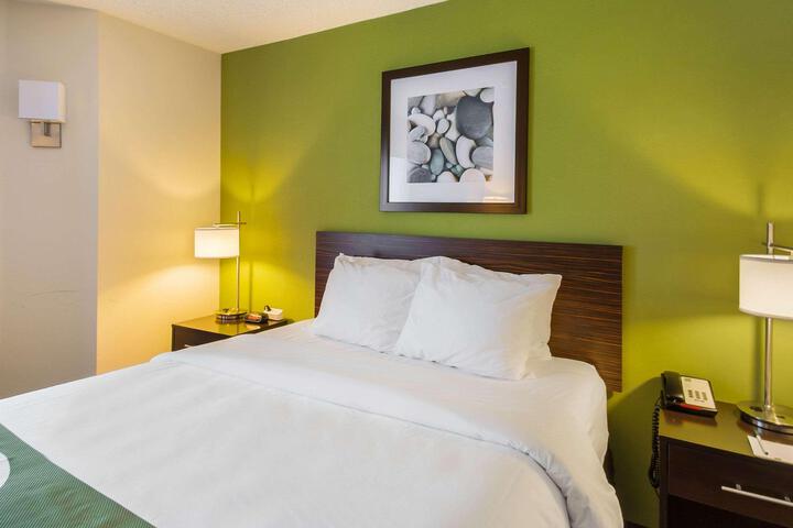Queen Bed Accessible (10 of 15)