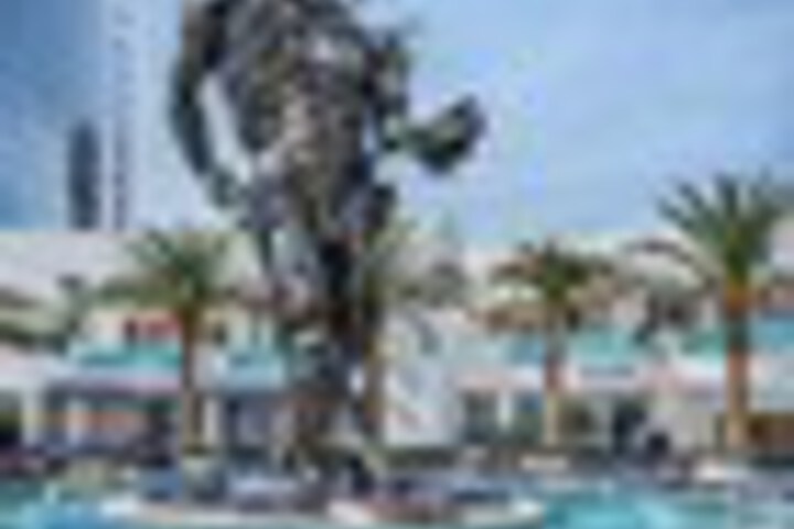 Pool 167 of 252