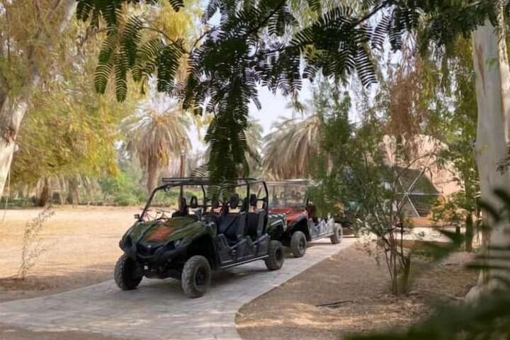 Outdoor Activities 21 of 51