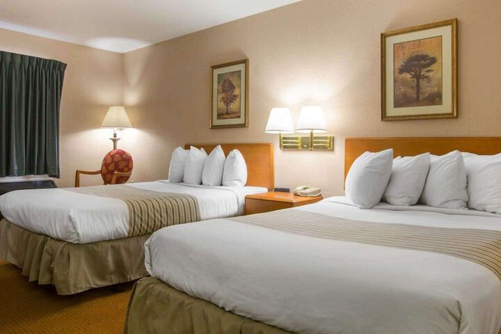 1 King Bed (1 of 6)