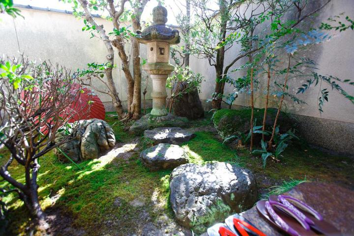 Image of Matsuharu ANN
